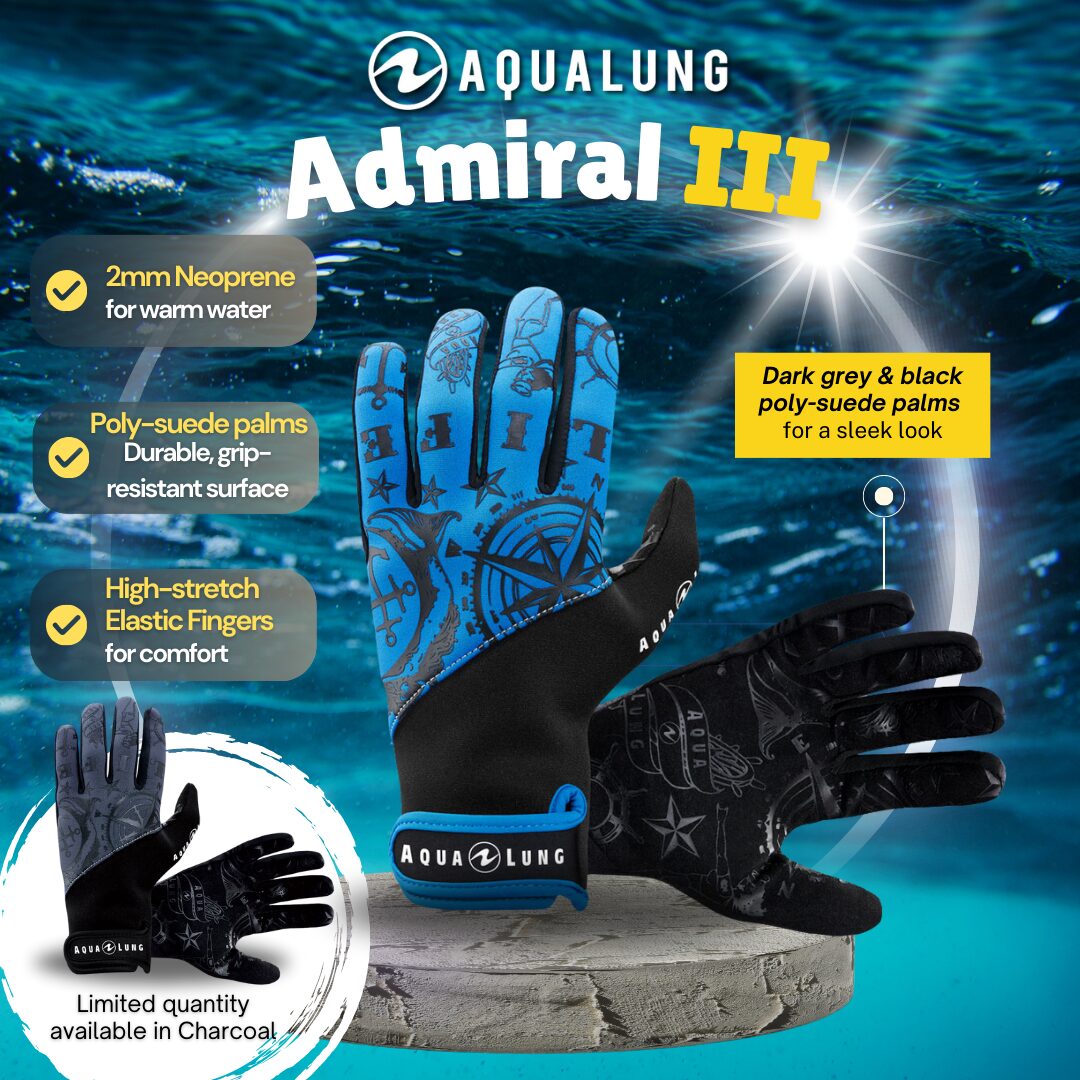 THE SAFT DIVING EQUIPMENT & SNORKELING STORE